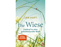 Die Wiese. Lockruf in eine geheimnisvolle Welt