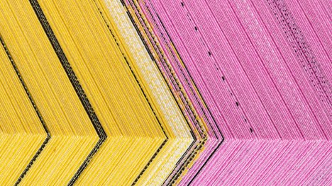 Stiftung Buchkunst Visual